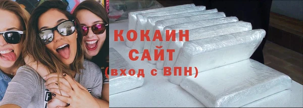 шишки Гусев