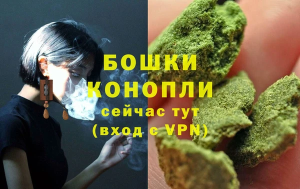 твердый Горнозаводск