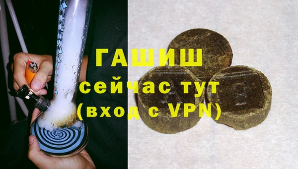 шишки Гусев