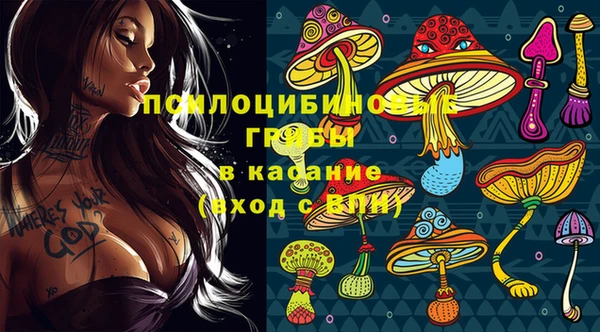 спайс Вяземский