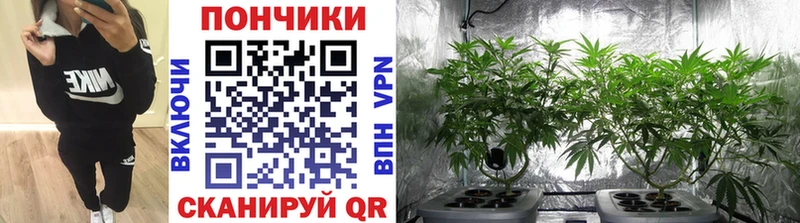 мега ТОР  Завитинск  Бошки Шишки тримм 